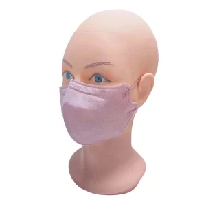 Adult Taro Purple N95 Face Mask-ZN2214