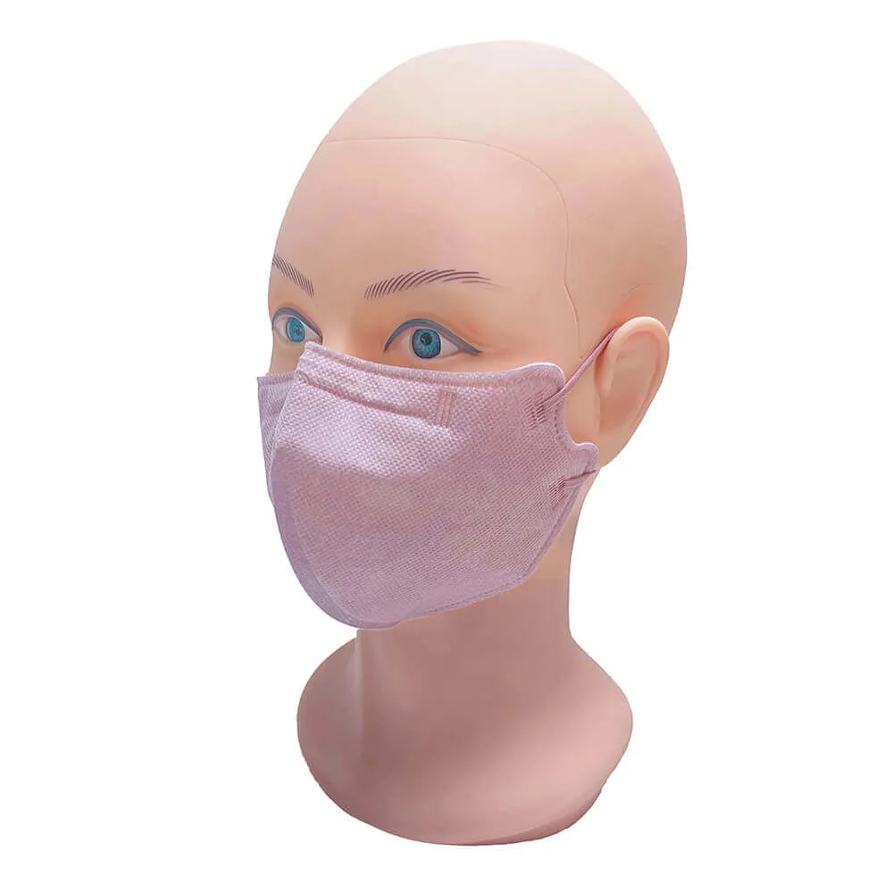 Adult Taro Purple N95 Face Mask-ZN2214