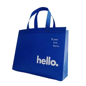 Wholesale Non Woven Carry Bags With Pattern Printing ZXB-012