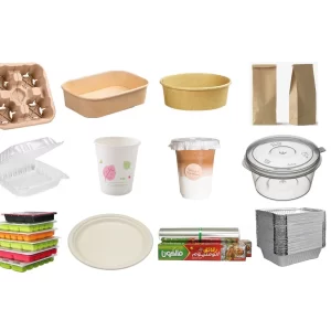 Wholesale Disposable Food Packaging ZXP-2304