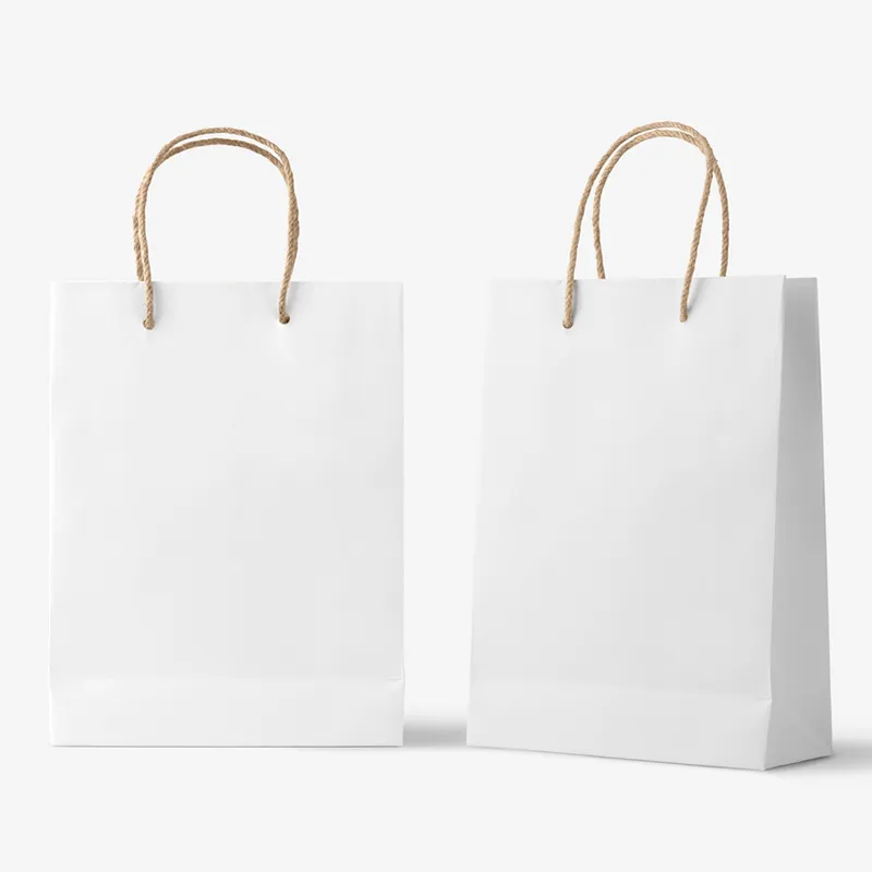 Customized Paper Bag ZXB-2306 - Image 2