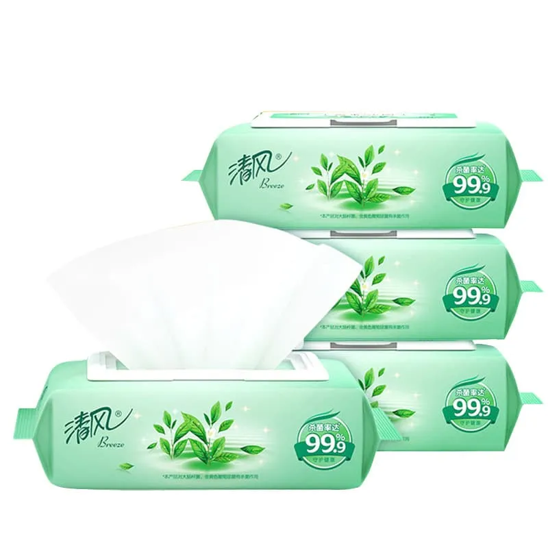 Wholesale Flushable Wet Wipes, 42 Wipes Per Pack (8 Packs of 42)